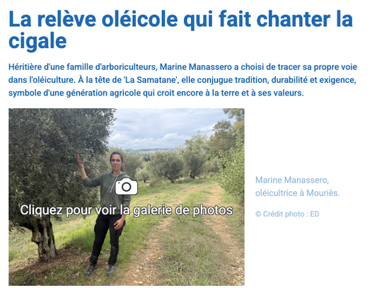 pressAGRIMED - La relève oléicole qui fait chanter la cigale